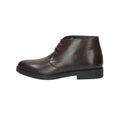 TESTA DI MORO | OSSIANI - U 010VEN Polacco