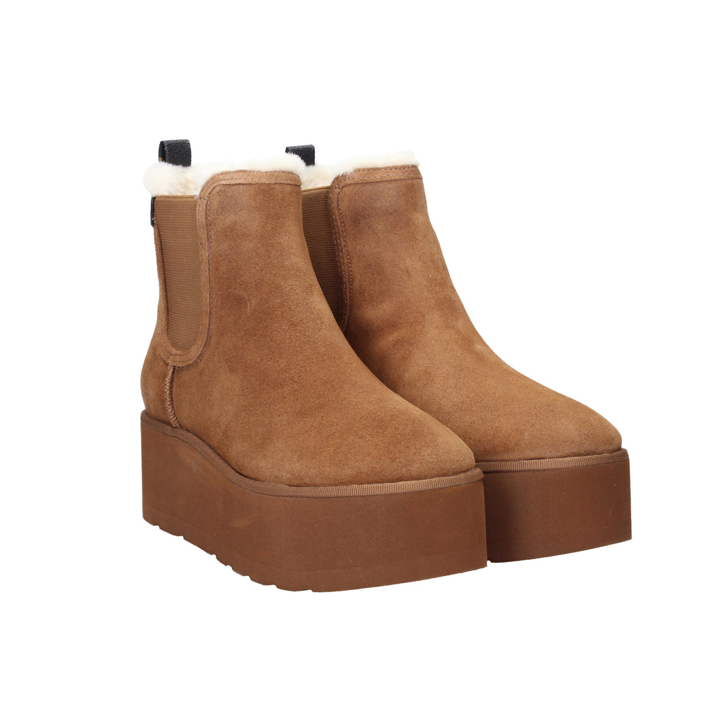 MARRONE | GUESS - D FLFJL2LEA10 Beatles