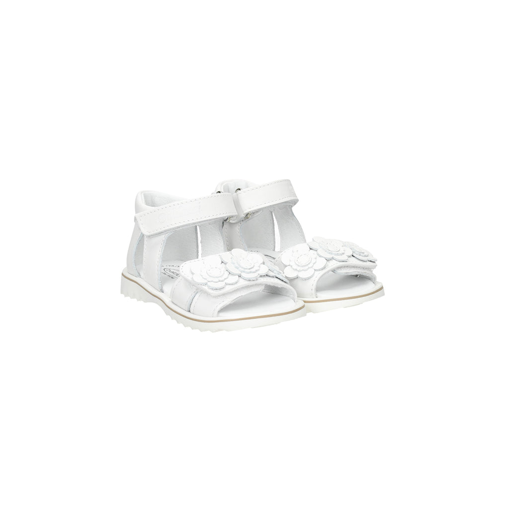 BIANCO | BALDUCCI - BA CITA6985 Sandalo