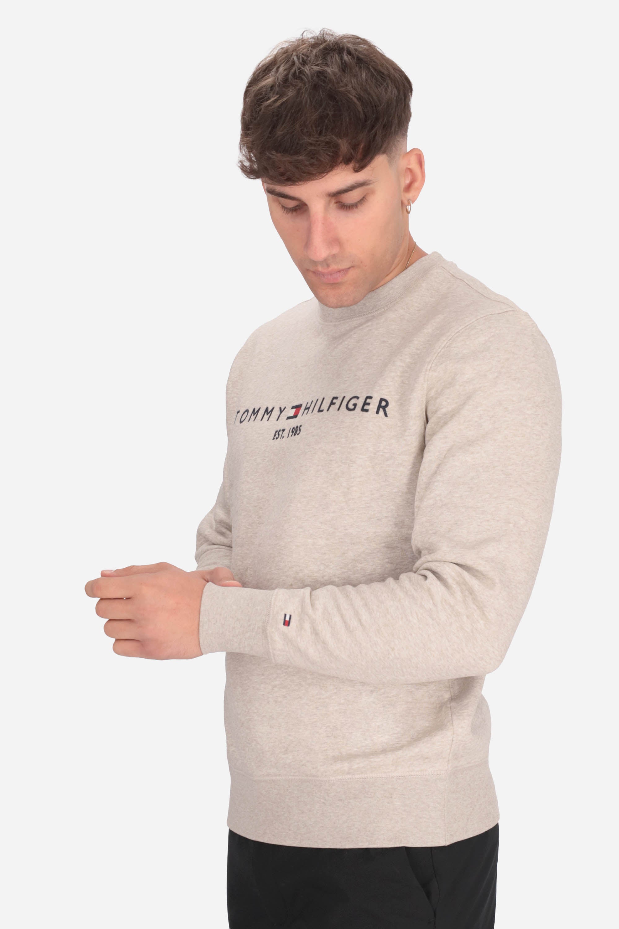 SABBIA | TOMMY HILFIGER - U 0MW11596 Felpa