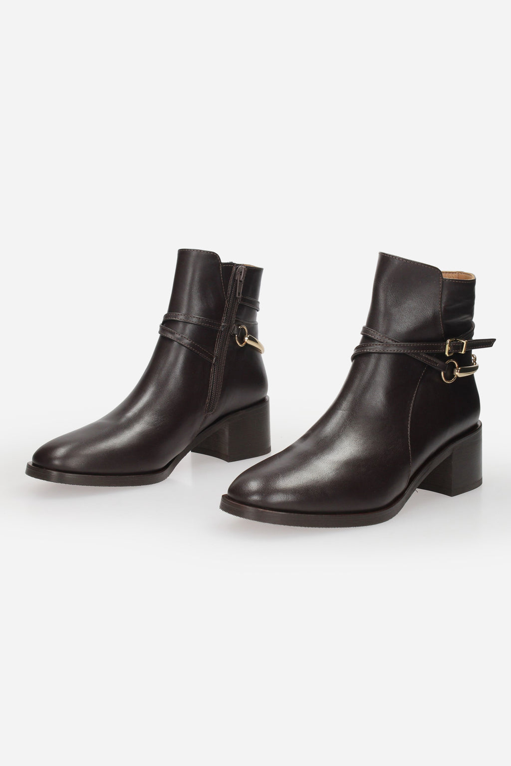 TESTA DI MORO | ALBANO - D 3007 Tronchetto