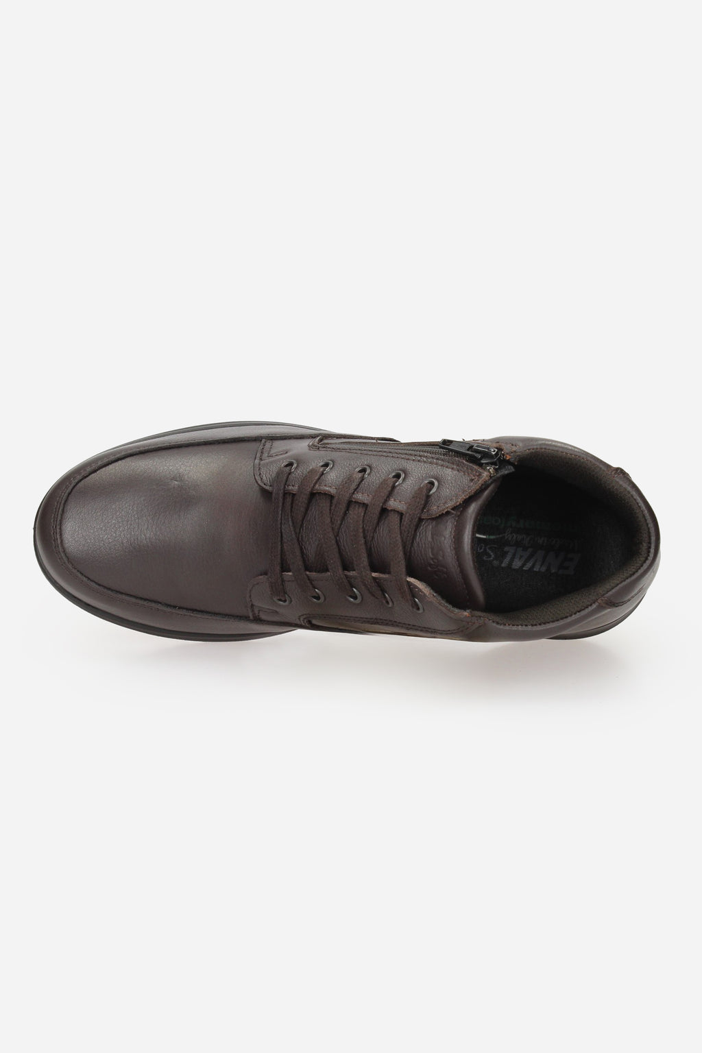 MARRONE | ENVAL - U 8722811 Polacco
