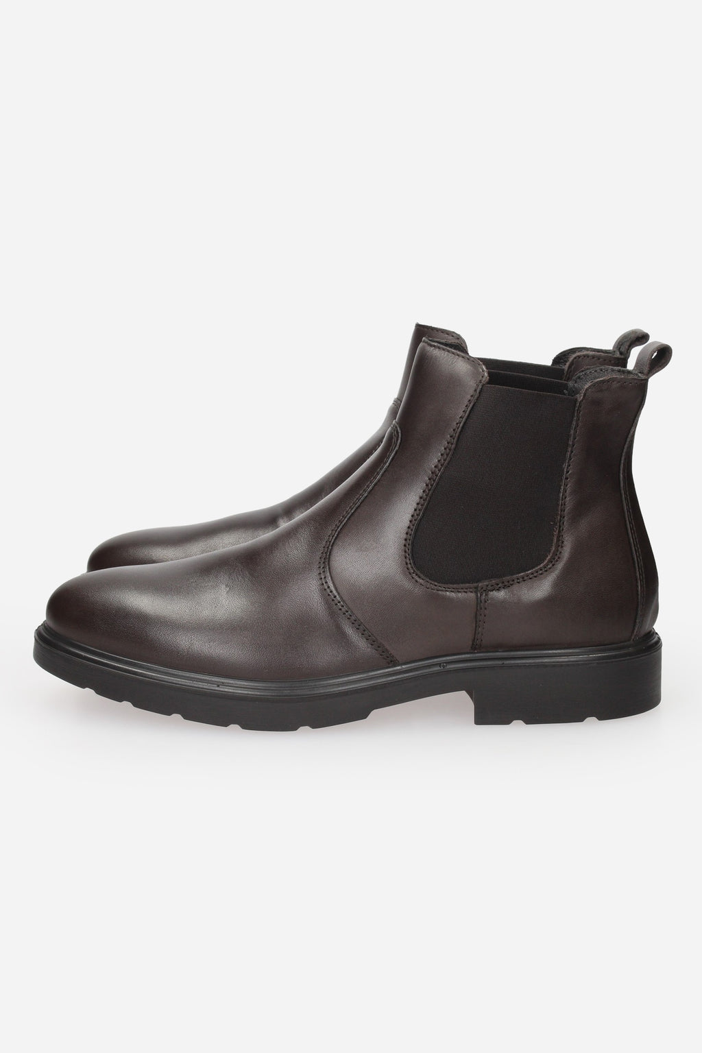 TESTA DI MORO | IGI & CO - U 8600211 Tronchetto