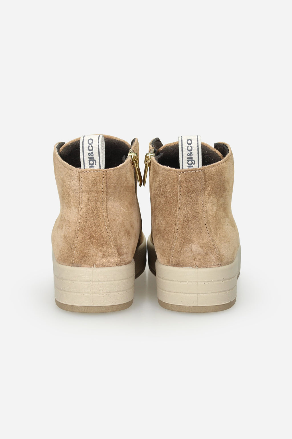 CAMMELLO | IGI & CO - D 8668244 Polacco