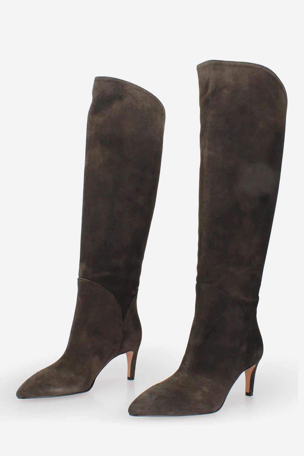 MARRONE | BIANCA DI - D R669VL Stivale