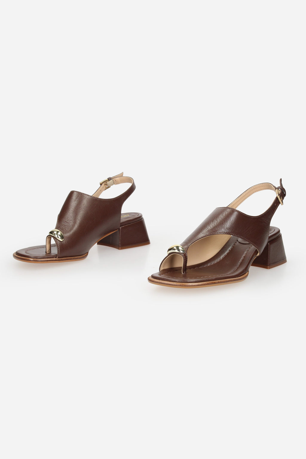 MARRONE | CECCONELLO - D 2729007-6 Infradito