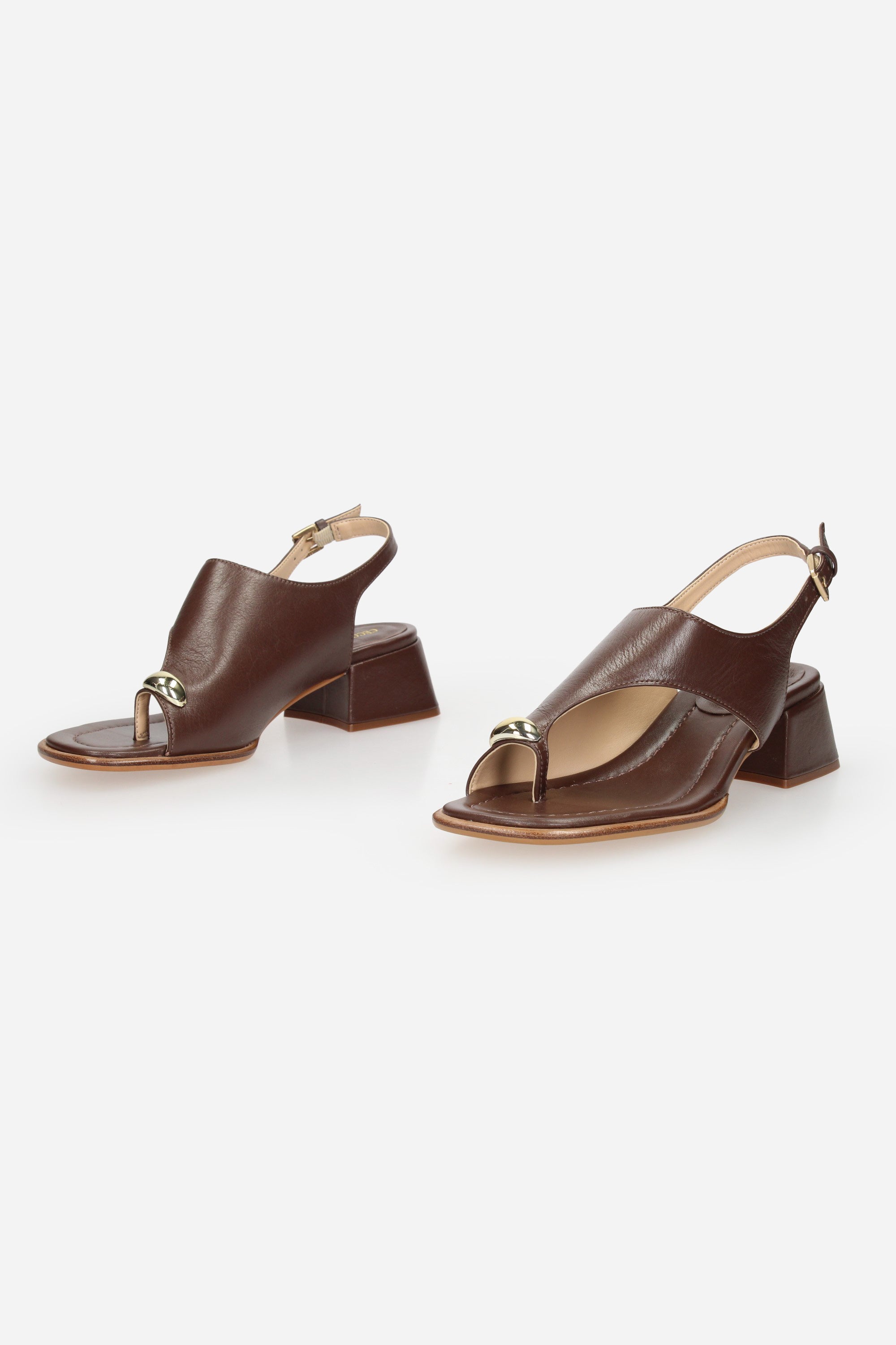 MARRONE | CECCONELLO - D 2729007-6 Infradito