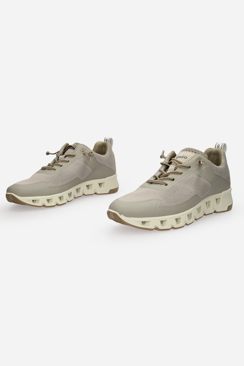 TORTORA | IGI & CO - U 1133011 Sneakers