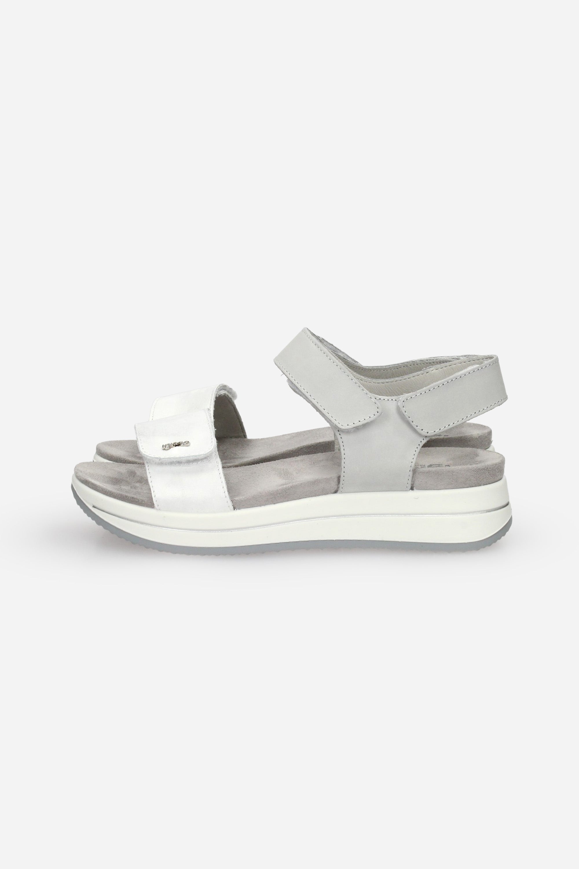 ARGENTO | IGI & CO - D 1174822 Sandalo