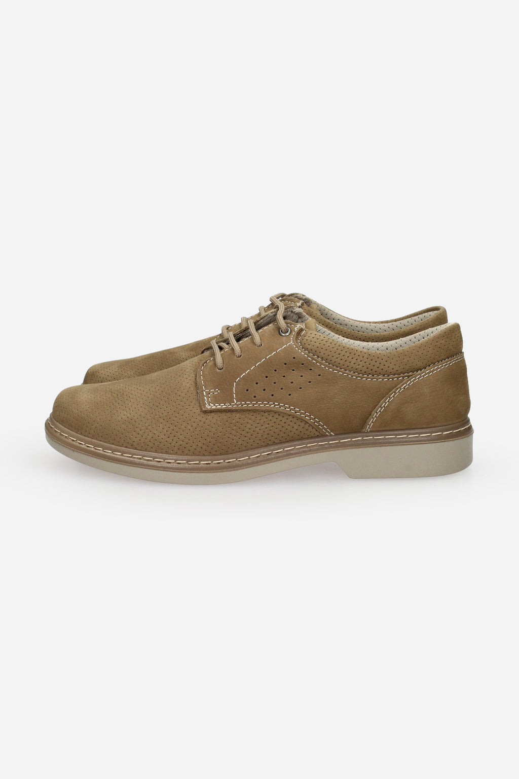 TORTORA | ENVAL - U 1214522 Stringata