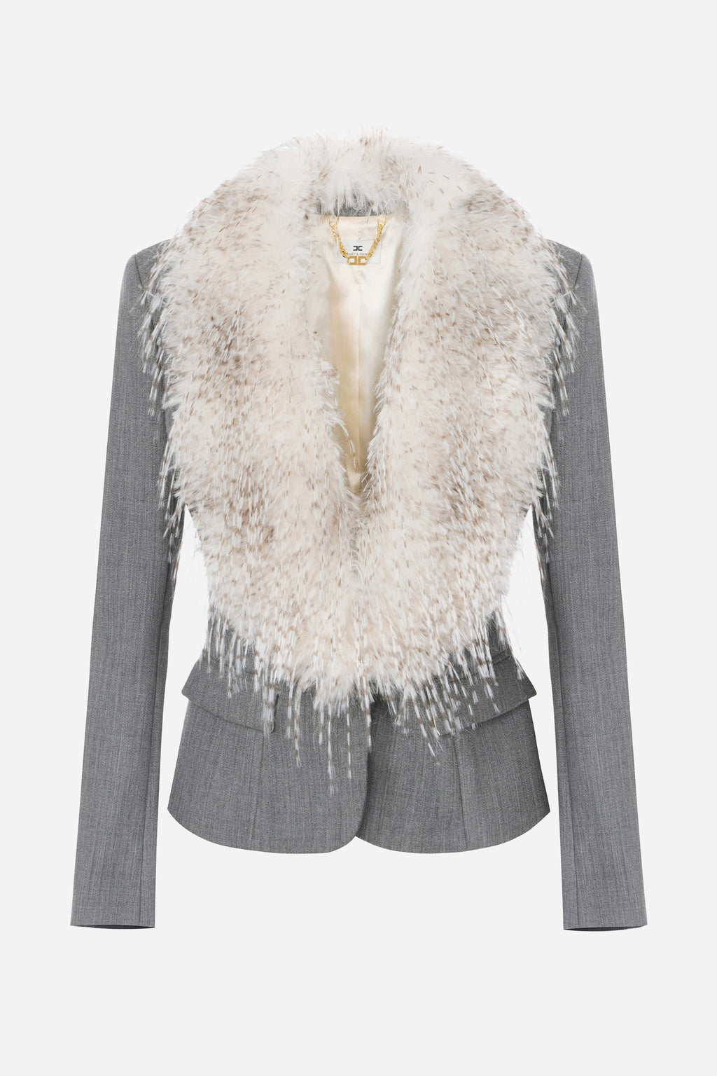 GRIGIO | ELISABETTA FRANCHI - D GI28967E2 Giacca