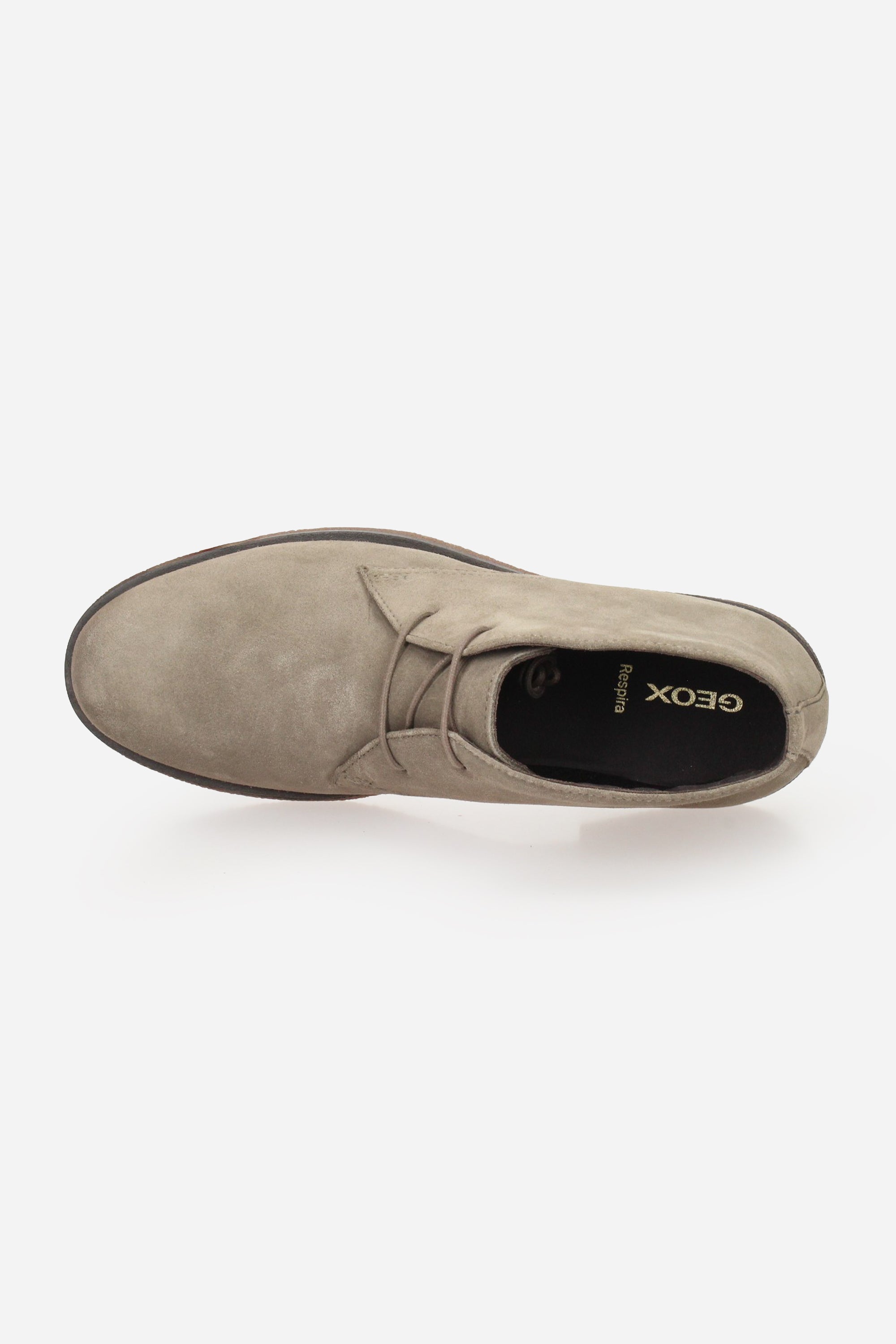 TORTORA | GEOX - U U6658D00022 Polacco