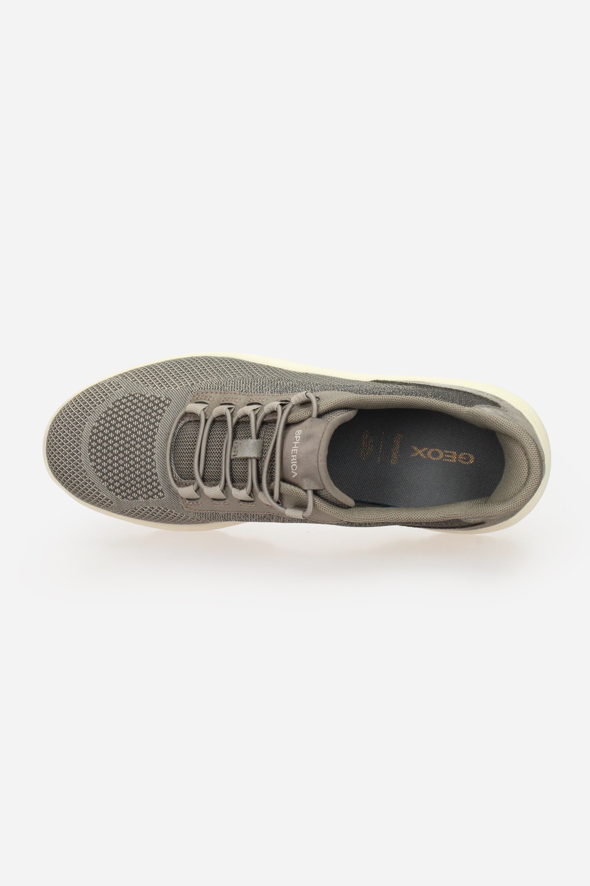 TORTORA | GEOX - U U66PDA0ZG22 Sneakers