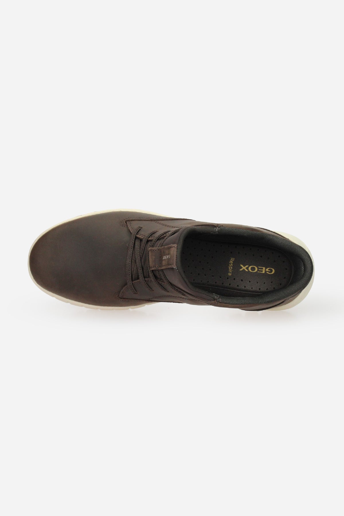 MARRONE | GEOX - U U56MAB000FF Polacco