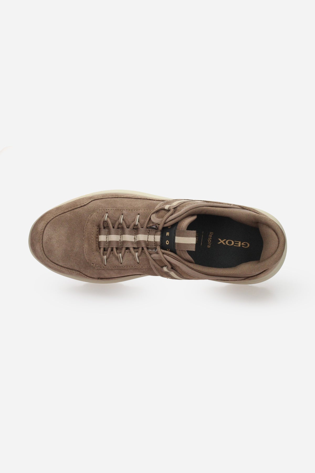 MARRONE | GEOX - U U66PCA00022 Sneakers
