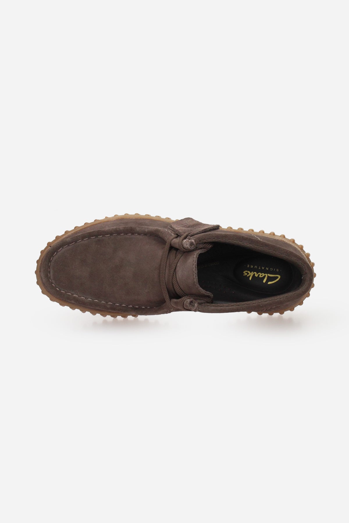 MARRONE | CLARKS - D 26185345 Polacco