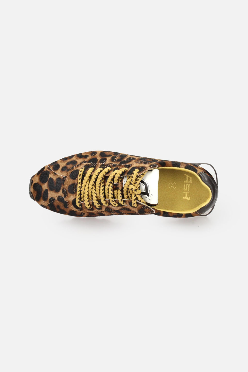 MACULATO | ASH - D KILLBILL07 Sneakers