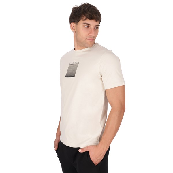 Calvin Klein Abbigliamento Uomo T-shirt Beige U K113107