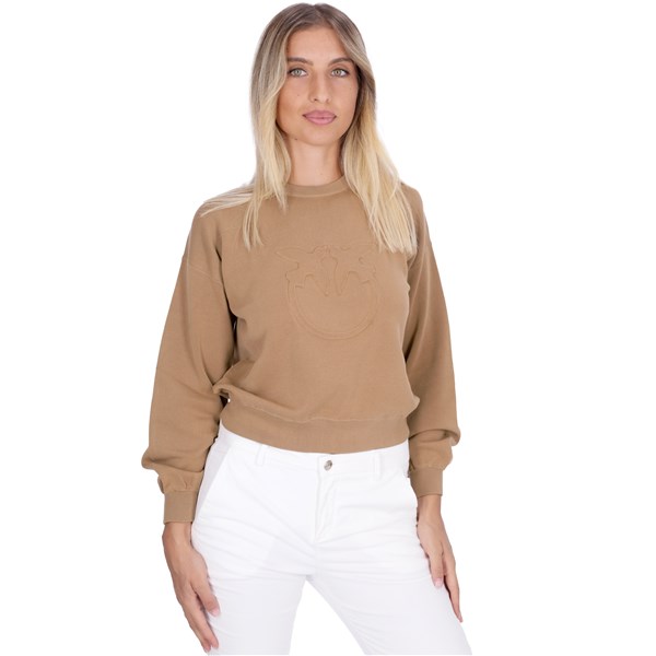 Pinko Maglia Beige